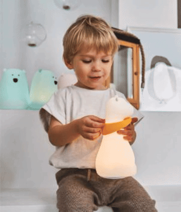 Image with text section